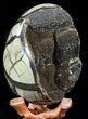 Septarian Dragon Egg Geode - Black Crystals #57443-2
